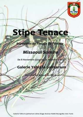 expo: Stipe Tenace