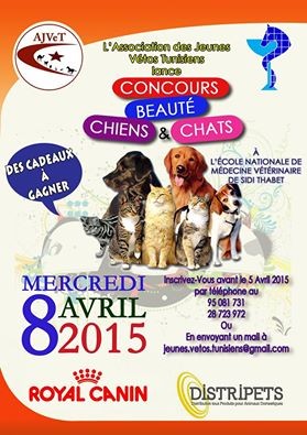 Concours de BeautÃ©: Chiens & Chats